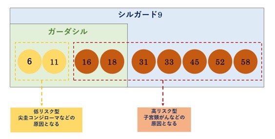 ガーダシルとシルガード9に含まれるHPV型